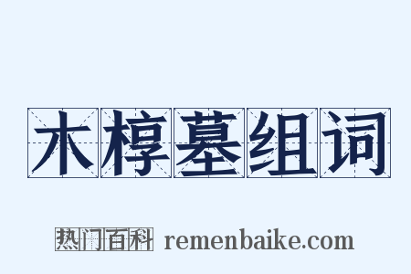 木椁墓组词是什么意思的图片